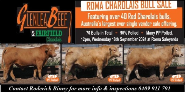 Glenlea Beef Roma Sale 