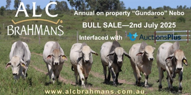 ALC BRAHMANS SALE 2025
