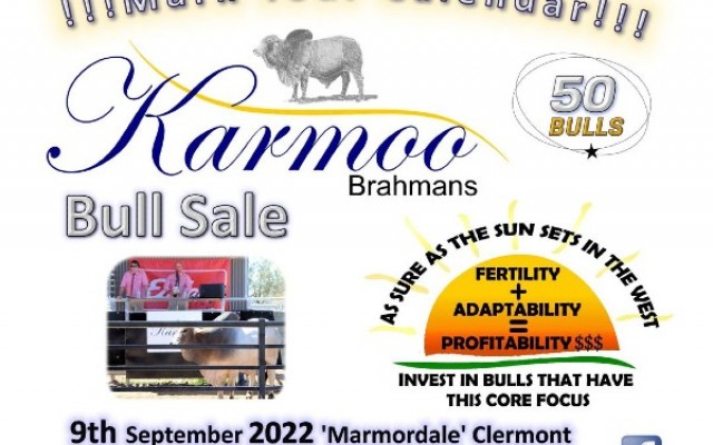 Karmoo Brahmans Annual on Property Bull Sale 2022