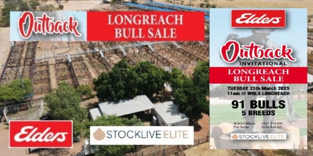 LONGREACH BULL SALE 2025