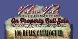 Valera Vale  Droughtmasters 2024 Sale.