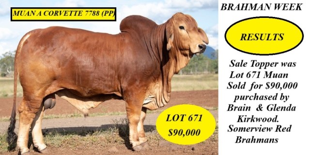 Brahman Week Sale 2024 