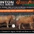 Glenlea Beef Charolais  Winton Sale 