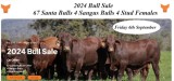 Yulgilbar Annual Production Sale.