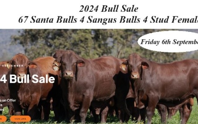 Yulgilbar Annual Production Sale.