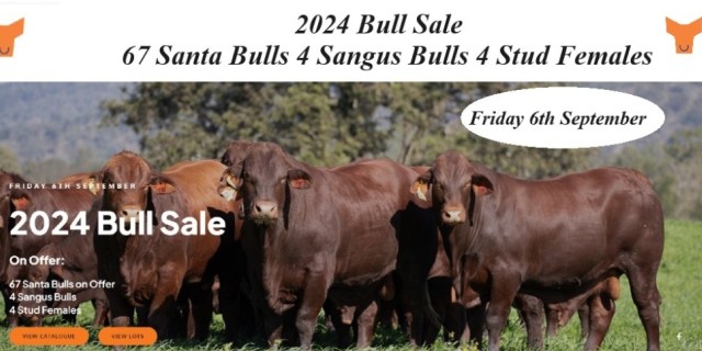 Yulgilbar 2024 Annual Production Sale.