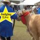 Go to 143rd  ROYAL QUEENSLAND SHOW