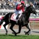 Go to Derby winner breaks family’s staying hoodoo