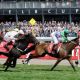 Wrap Up Melbourne Cup Week