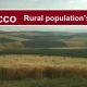 Go to Morocco's  Rural populations income