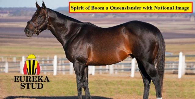 Spirit of Boom a Queenslander with national image