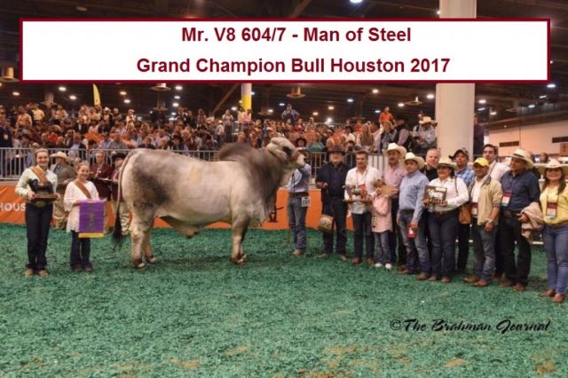 V8 RANCH ROCKS HOUSTON LIVESTOCK SHOW