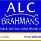 Go to ALC BRAHMANS