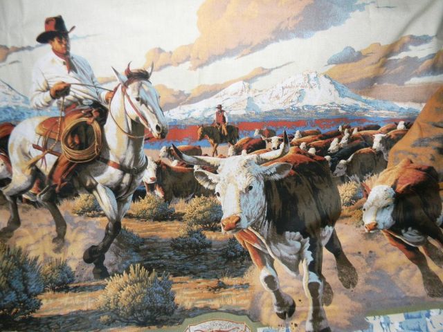 Cattle rustlers still roam the ranges