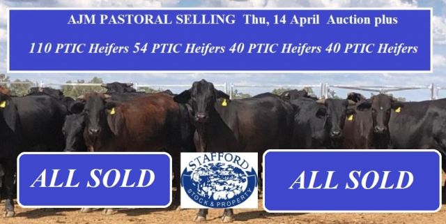 AJM PASTORAL. ALL SOLD Auction plus