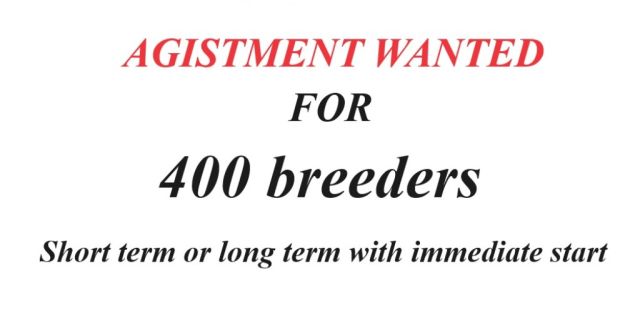 Wanted Agistment