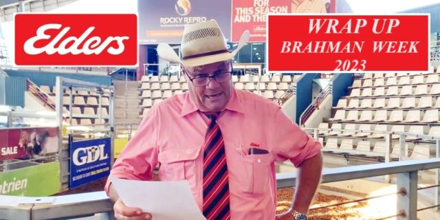 Brahman Week Sale 2023