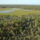 Go to “More Changes in Vegetation Laws”