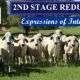 Go to Elrose  2nd Stage Reduction Sale 370 Grey Females