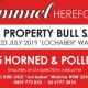 Tummel Herefords  BULL SALE