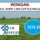 WONGAN