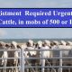 Agistment Required Urgently