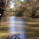 Go to Struan Station sold at auction in Rockhampton