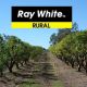 Go to Major Qld Orchard Must Sell Before Christmas