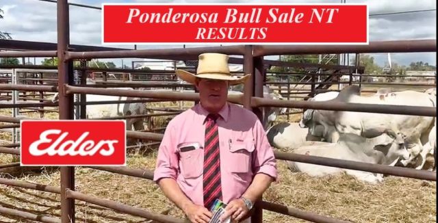 24th  ANNUAL PONDEROSA INVITATIONAL BULL SALE