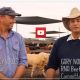 PADDOCK TO PALATE RESULTS