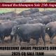 Go to Murdeduke Angus Bull Sale 2025.