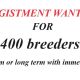Wanted Agistment