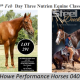 Go to Selling Lot 291 Day Three Nutrien Equine Classic