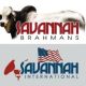 Go to Savannah Brahmans & Savannah International