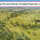 3 Neighbouring Western Downs Grazing Properties on the market.