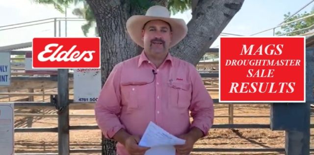 MAGS DROUGHTMASTER SALE 2023
