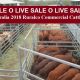 SALE O  LIVE   SALE O   LIVE