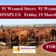 For Sale 91 Weaned Steers and 93 Weaned Heifers