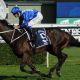 Go to Winx world’s equal best racehorse of 2018