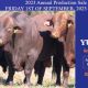 Yulgilbar 2023 Annual Production Sale
