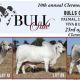 Go to 10th annual Clermont Beef Bull Sale.