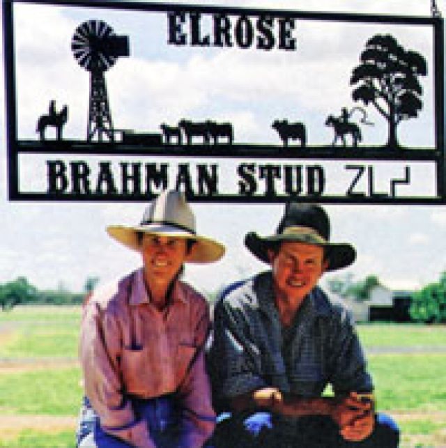 Elrose Stud offering for sale 436 females from their Stud herd
