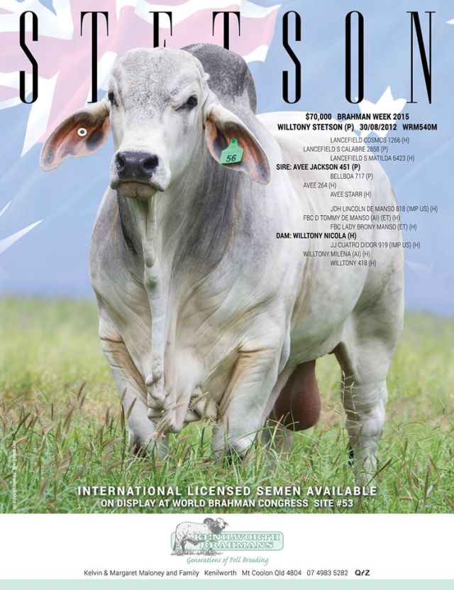 Kenilworth Brahmans