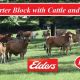 Great Starter Block with Cattle and Plant
