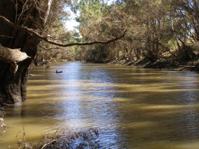 Struan Station sold at auction in Rockhampton