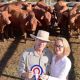 Go to The Cattle Competition Mecca!