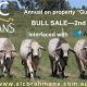 ALC BRAHMANS SALE 2025
