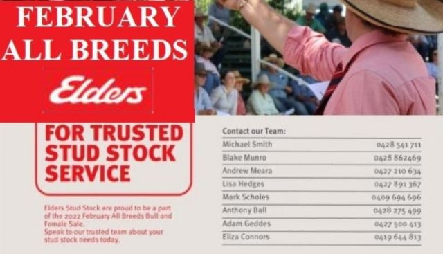 Elders Vendors February All Breeds (2022)