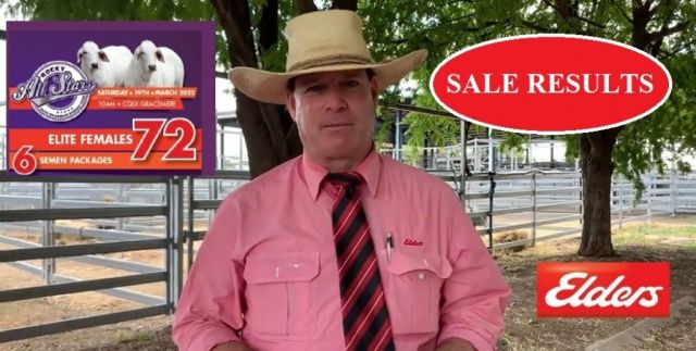 RESULTS  Rocky All Stars Female Sale