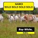Go to Namoi' (SOLD AT AUCTION)